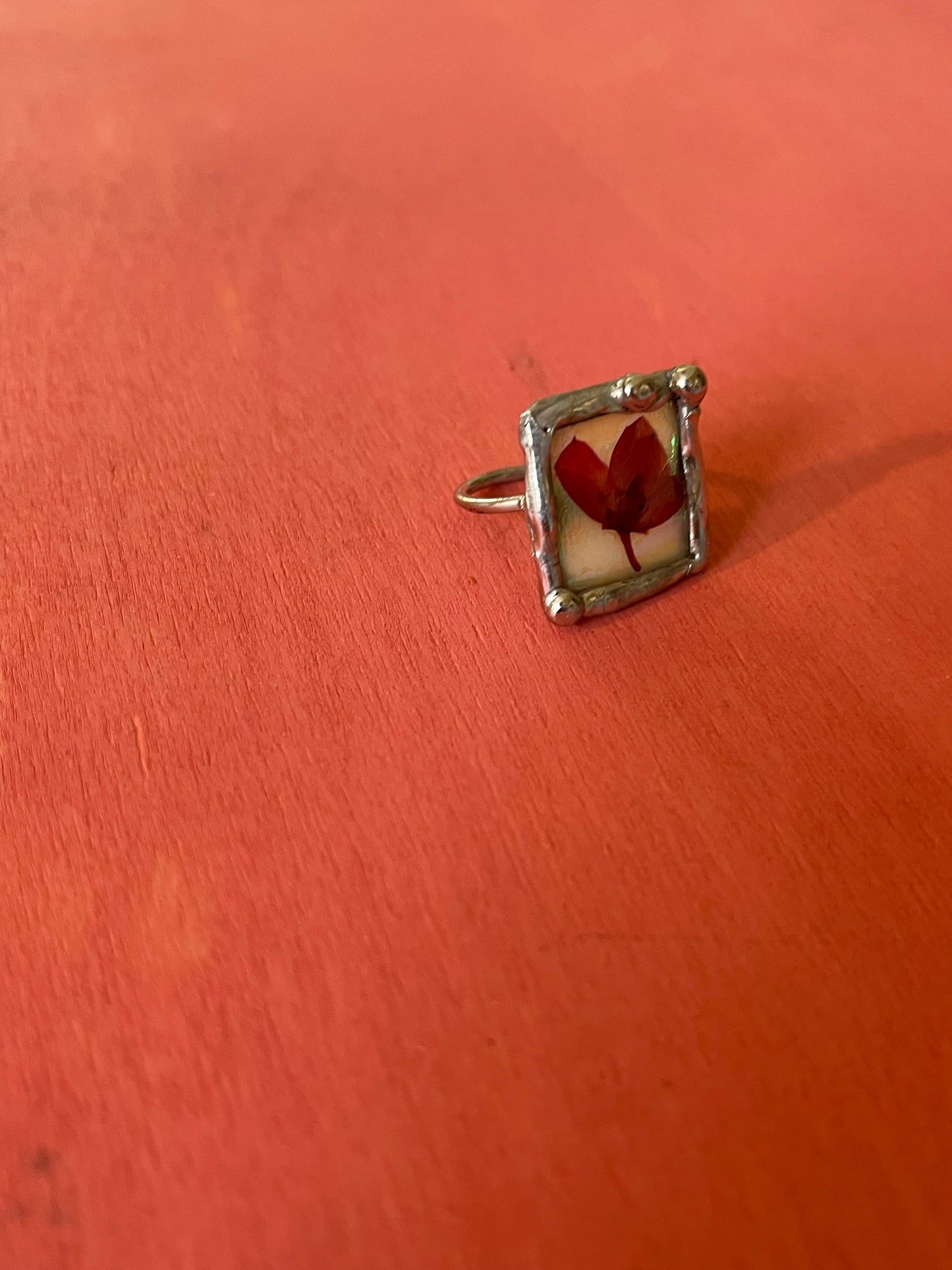 Boronia Flower & iridescence Ring size 6.5