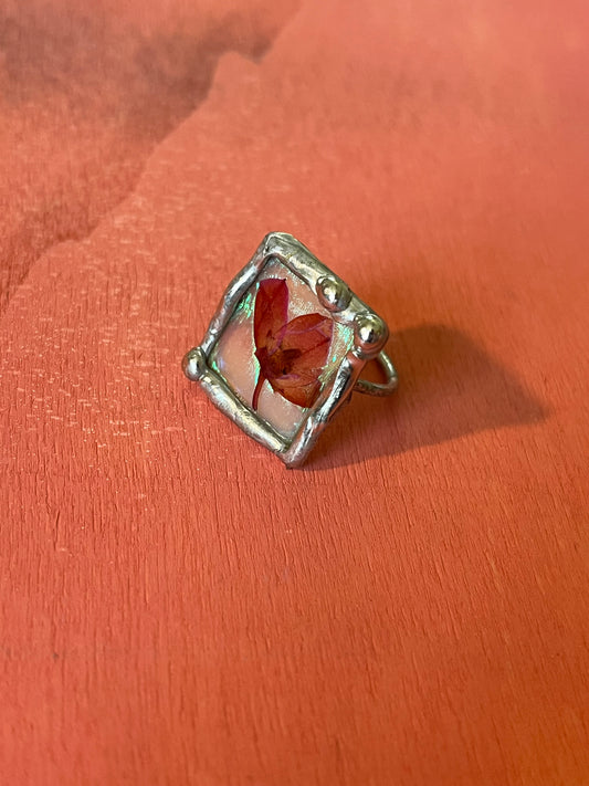 Boronia Flower & iridescence Ring size 6.5