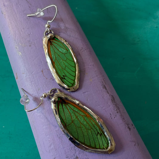 17-Year Cicada Wing Earrings – Real Insect Jewelry – Green Cicada Wings Preserved in Silver Solder – Nature-Inspired Dangle Earrings – Entomology Gift